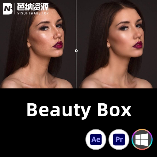 AE/PR插件-WIN版中文汉化视频人像智能磨皮美容插件美颜 Beauty Box 5.0.9 一键安装包